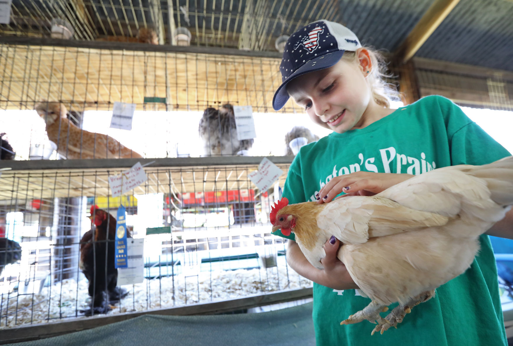 Sauk County Fair